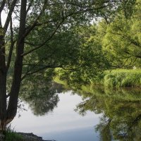 *** :: Владимир Безбородов