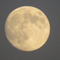 Луна вечерняя :: Yuri 