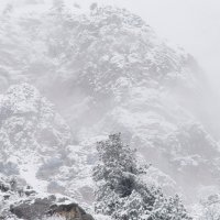 Зима в горах :: Виктор Осипчук