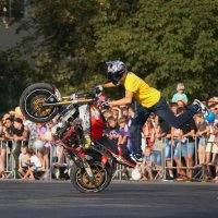 Stunt Moto Show. Таганрог. 10.08.2013 :: Андрей Lyz