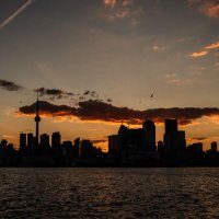 Toronto Skyline :: Andy Zav