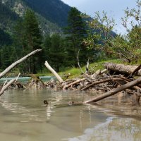 Царство Водяного в горах :: Светлана Попова