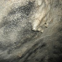 Влага в пещере :: Марина Рыбалко