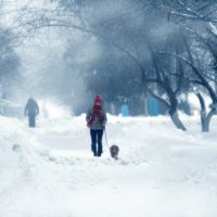 Снежный март :: Екатерина Бобкова