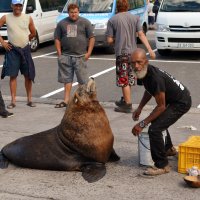 Сначала деньги, потом pictures :: Сергей Рычков