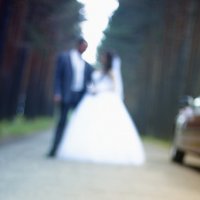 Свадьба Дмитрия и Олеси :: Наталия Казакова