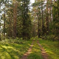 Солнечный день. :: Юрий Шувалов