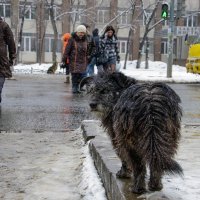 Потерялася :: Slava Winner