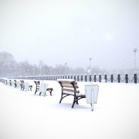 Первый снег :: Андрей Кириллов