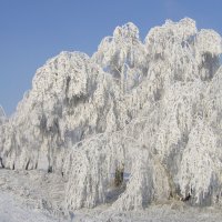 зима художница :: Евгений Золотухин