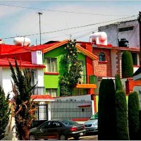 Яркие краски Мехико. :: Наталья Портийо