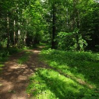 А еще пели птички. И кусали комары :: Андрей Лукьянов