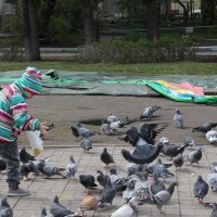 Покормим голубей :: Олег Афанасьевич Сергеев