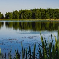 вода........ :: Алексей Бортновский