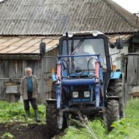 Пашет трактор огород... :: Светлана Рябова-Шатунова