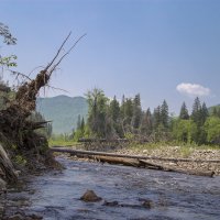 Таёжная  река :: Александр Паклин