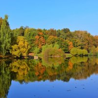 Верхний Царицынский пруд :: Константин Анисимов