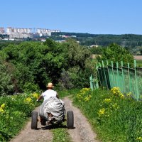 Попутчик... :: Анатолий Колосов