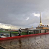 Кронверкский мост в мокрую погоду :: Елена 