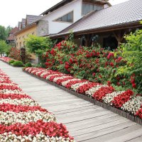 Аллея в усадьбе Коробчицы (около г.Гродно) :: ofinogen 