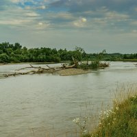 Река Кубань Летом :: Игорь Сикорский