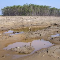 Ушла  вода... :: Александр Паклин