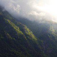 Солнце, туман и лесистое ущелье :: M Marikfoto