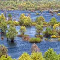 Большая вода :: Сергей Тарабара