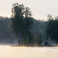 В тумане утреннем......... :: Юрий Цыплятников