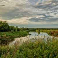 Вечер, Клязьма, июнь :: Андрей Дворников