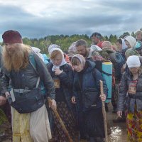 Из серии Великорецкий крестный ход. Дорогу осилит идущий. :: Борис Гуревич 