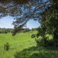 Яркий день. :: Владимир Безбородов