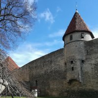 Стены и башни старого Таллина :: veera v