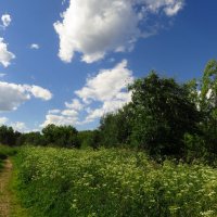 Не знаю ничего лучше лета :-) :: Андрей Лукьянов