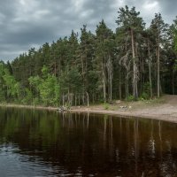 Предгрозье. :: Юрий Скрипченков 