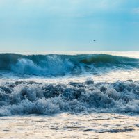 Черное море. :: Владимир Лазарев