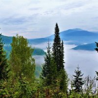 Туман в долине :: Сергей Чиняев 