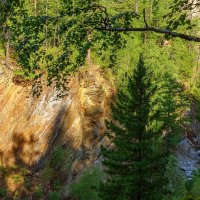 Ущелие реки Кынгарги :: Nikolay Svetin