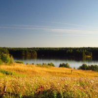 Вечернее.... :: Елена Швецова