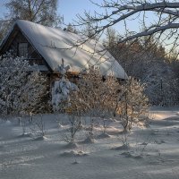 мёртвый сезон... :: Владимир Матва