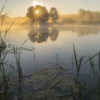 Утро в теплых тонах :: Сергей Корнев