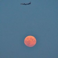 Красная луна :: Татьяна Симонова