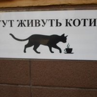 кафе с кошками во Львове :: Lyudmila 