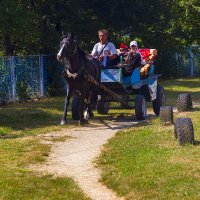 УХ, прокачу!!!! :: Бронислав Богачевский