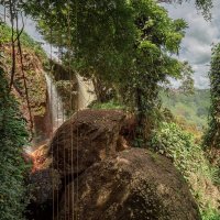 джунгли вьетнама :: Дамир Белоколенко
