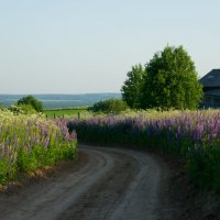 Кто знает, что там, за поворотом. :: Александр Горячев