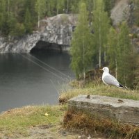 Озеро Рускеала :: esadesign Егерев