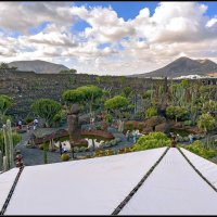 Lanzarote, 2017. :: Jossif Braschinsky