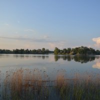 Вечерняя рыбалка. Дон. :: Виктор 