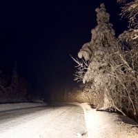 Путешествия полярной ночью :: Ольга 